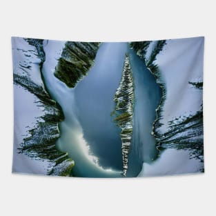 Aerial top view of frozen lake among snow winter landscape Tapestry