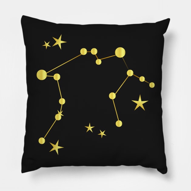 Aquarius Pillow by bruxamagica