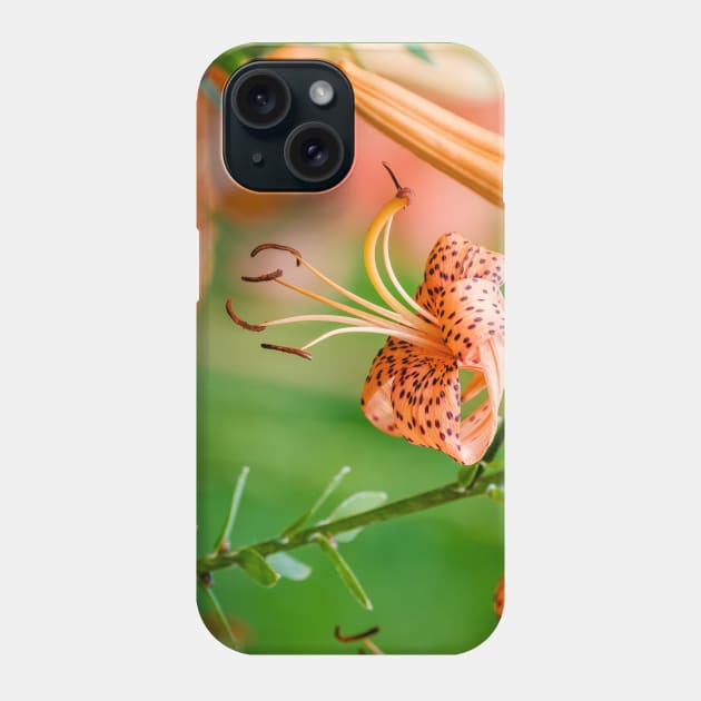 Amongst the Tiger Lilies Photograph Phone Case by love-fi