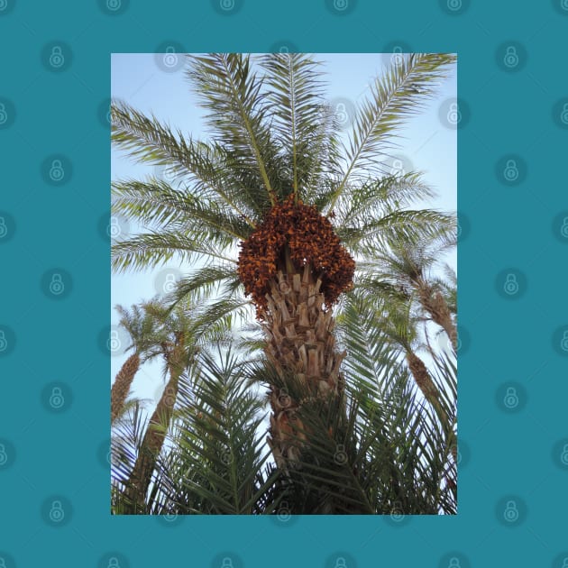 Date Palm by SPACE ART & NATURE SHIRTS 