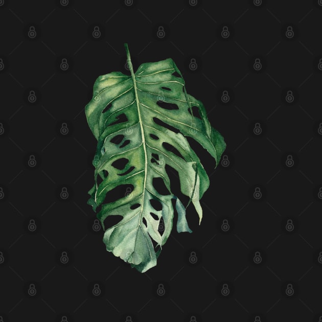 Tropical Monstera Leaf by InnaPatiutko