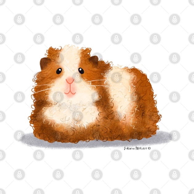 Texel Guinea Pig by julianamotzko