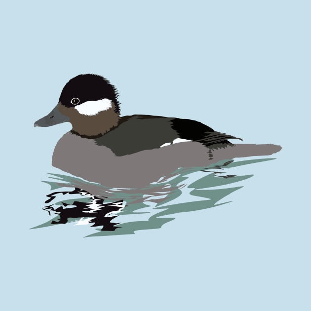 Bufflehead (Female) by stargatedalek