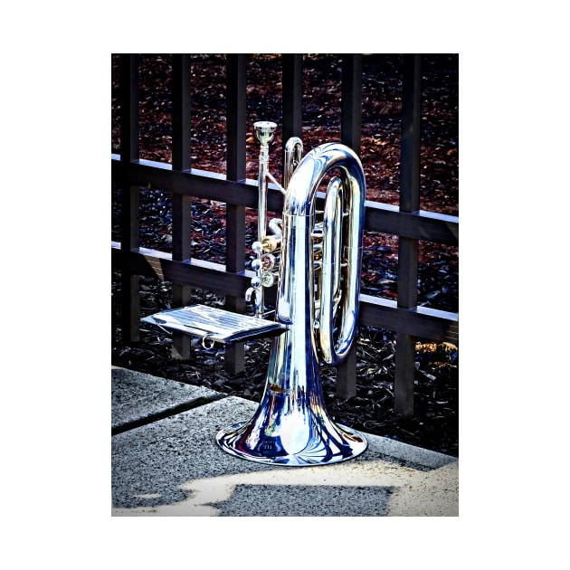 Music - Baritone Horn Before Parade by SusanSavad