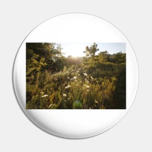 Queen Anne&#39;s Lace at Sunrise Pin