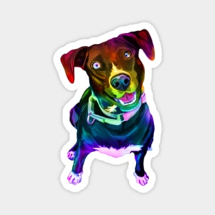 Psychedelic Colorful Canine Labrador Mix Magnet