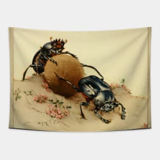 Vintage Dung Beetles Tapestry