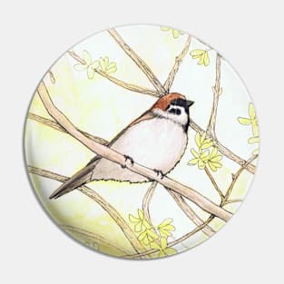 Sparrow in a Forsythia Bush Watercolor Illustration Pin