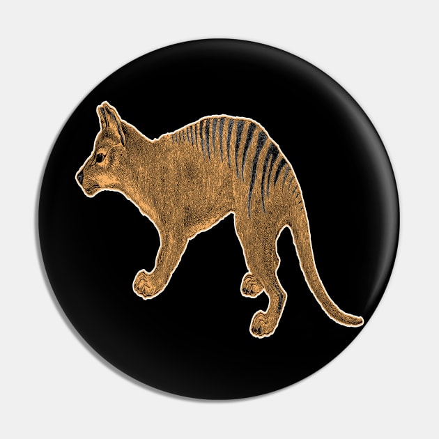 Thylacine or Tasmanian Tiger Pin by encycloart