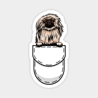 Pekingese Pocket Dog Magnet