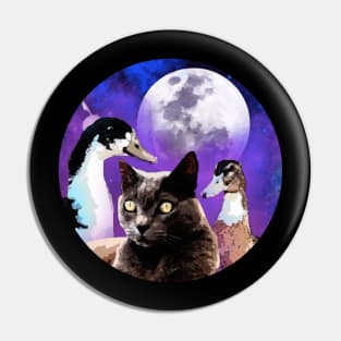 Two Ducks Cat Moon Pin