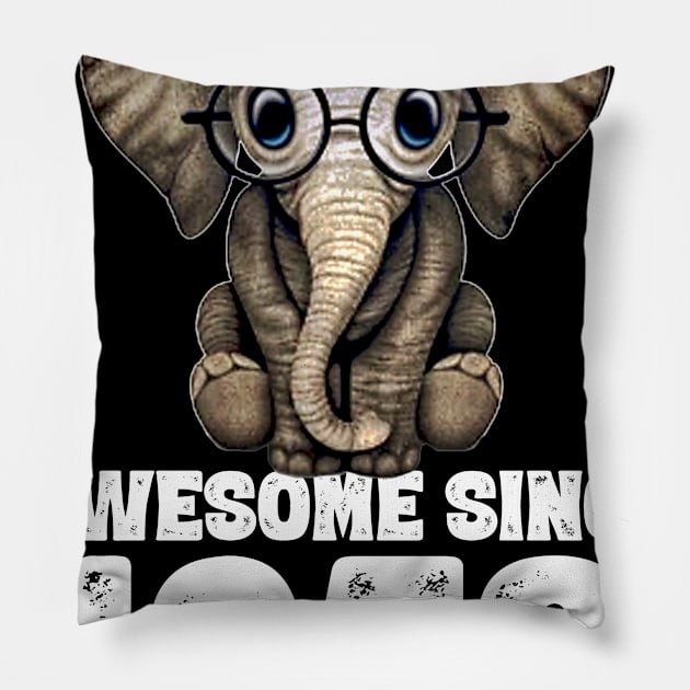 Awesome since 1958 62 Years Old Bday Gift 62th Birthday Pillow by DoorTees