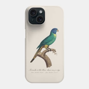 Rainbow Lorikeet juvenile / Perruche a tete bleue jeune age - 19th century Jacques Barraband Illustration Phone Case