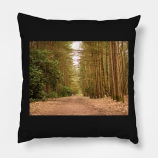 The clearest way into the Universe is through a forest wilderness Pillow