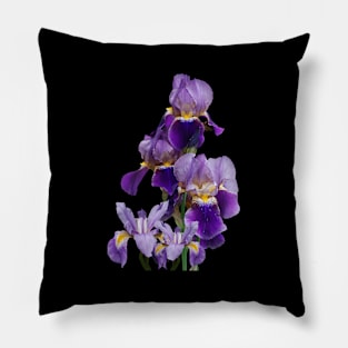 Irises Flower Plant Gardening Gardener Tennessee Pillow