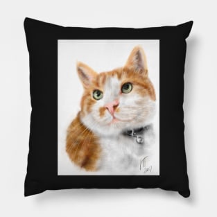 Cross Eyed Kittie Cat Pillow