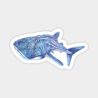 Whale Shark Magnet