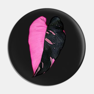 PHILODENDRON PINK PRINCESS BLACK CHERRY Pin