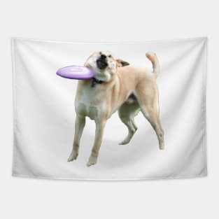 Frisbee Doge Tapestry