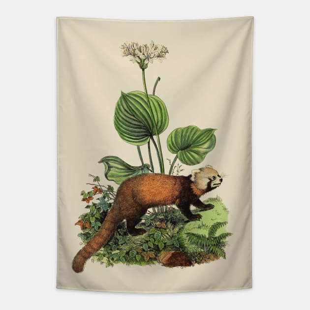 RED PANDA Illustration Tapestry by Biophilia