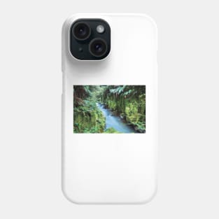 Whirinaki Forest Phone Case