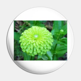 Lime Color Flower Pin