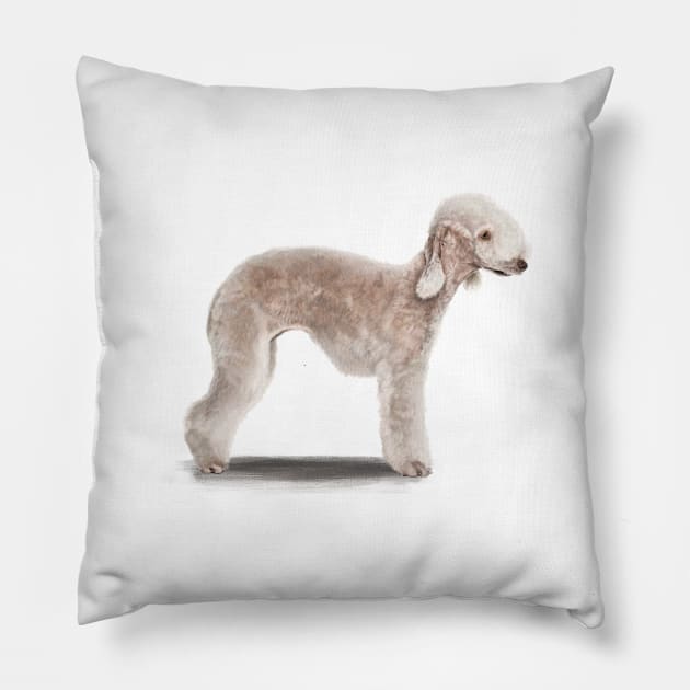 The Bedlington Terrier Dog Pillow by Elspeth Rose Design