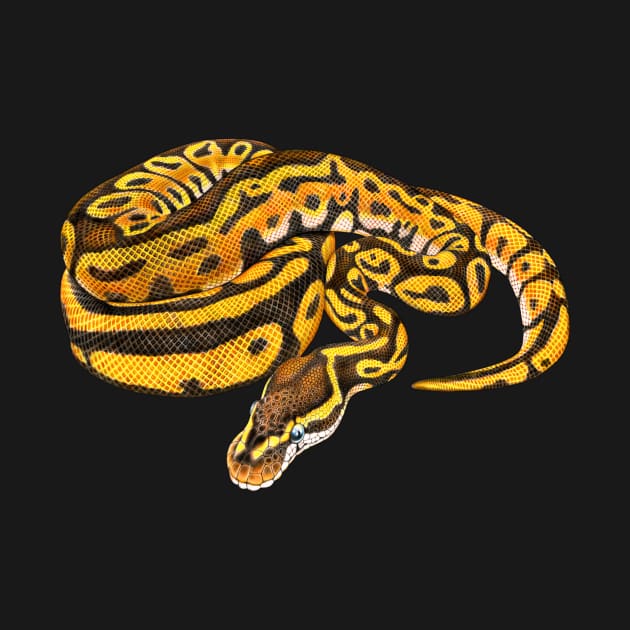 Ball Python by Tim Jeffs Art