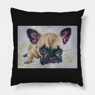 MISA’S ORIGINAL ART “AWESOME PETS” Pillow