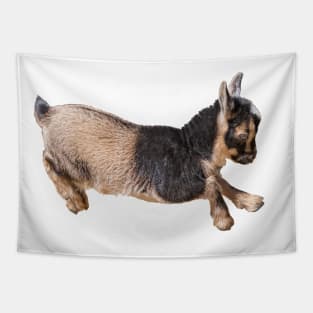 Bouncing Baby Goat 8 Tapestry