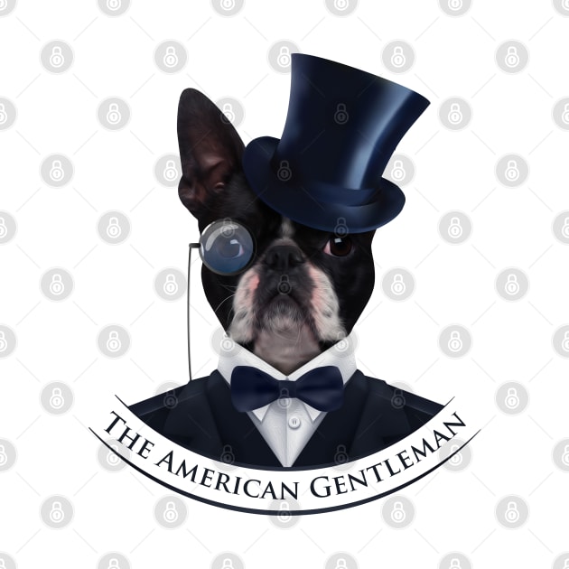 Boston Terrier  - The American Gentleman by Nartissima