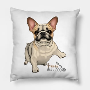 The most popular breed - the USA is the French Bulldog. Spotted. Jumping. Pillow