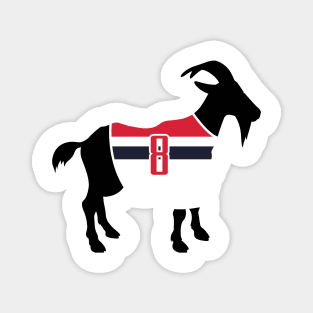 Rui Hachimura GOAT Magnet