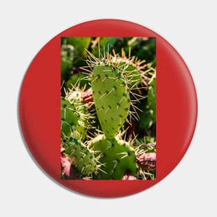 Opuntia Pin