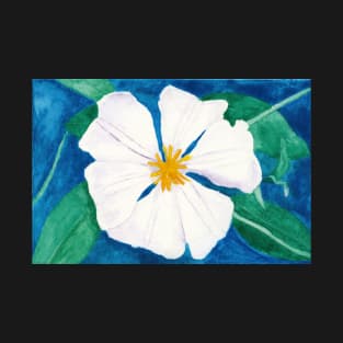 Ode to Georgia #3 - White Clematis Flower T-Shirt