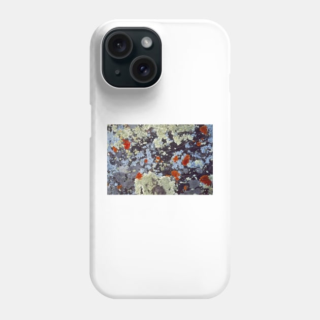 Lichens On Rock Phone Case by HammiltenJohn