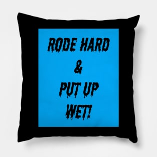 Rode Hard and Put up Wet Pillow