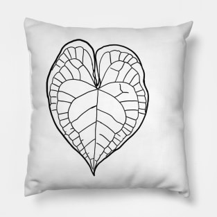 Anthurium clarinervium Pillow