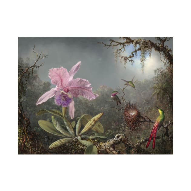 Cattleya Orchid and Three Hummingbirds by Martin Johnson Heade by Classic Art Stall