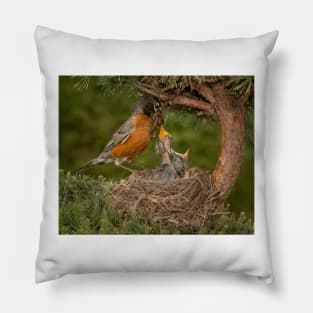 American Robin Feeding Chicks Pillow