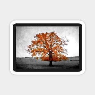 A Tree in Autumn Magnet