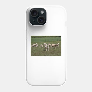 Herd of sheep Phone Case