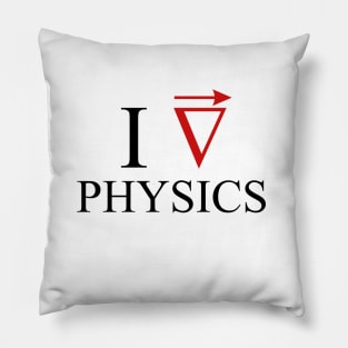 I love Physics Pillow