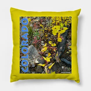 Colorado Aspen Anew Pillow