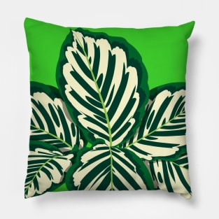 Calathea Cora Pillow