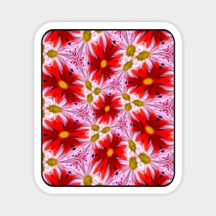 Beautiful Red Aster Patterns Magnet