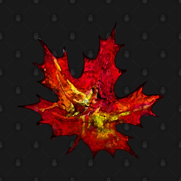 Abstract Maple Leaf by hammerheadryker