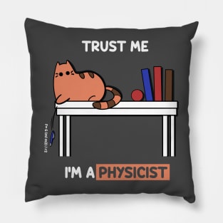 Physicist Pillow