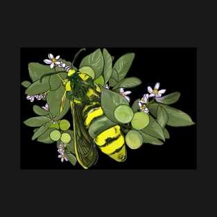 Hornet Moths and Limes T-Shirt