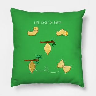 Life cycle of pasta Pillow